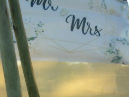 Wedding Pics
